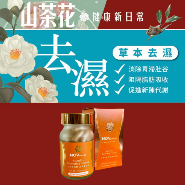 【草本排毒】山茶花精粹 去濕纖肢丸 Camellia Recovering Formula