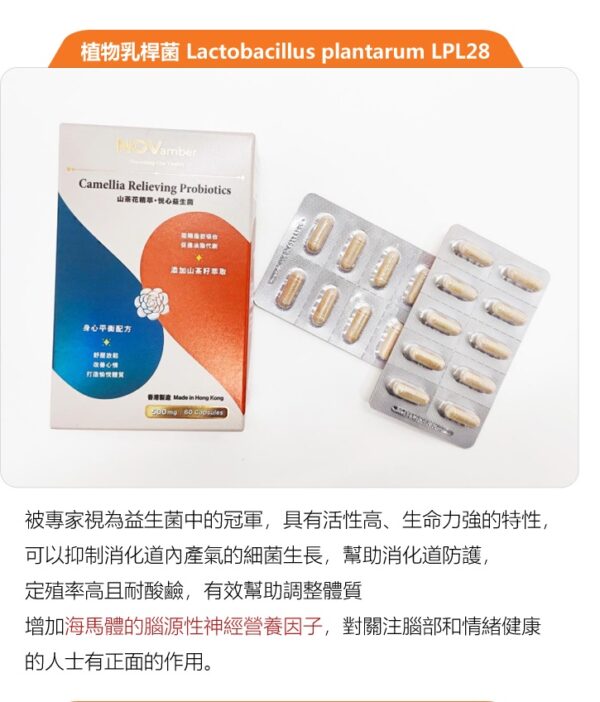 【抗壓之星】山茶花精萃 悦心益生菌 Camellia Relieving Probiotics - Image 10