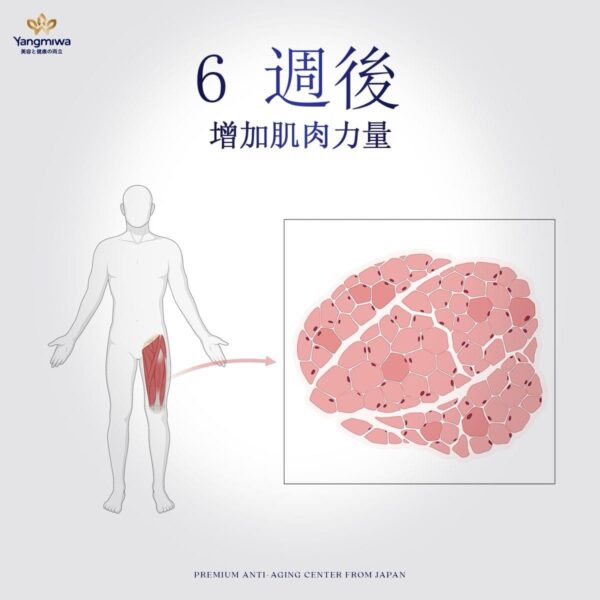 【科技養生】日本研製 速效超純 YANG NMN 15000mg - Image 10