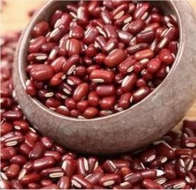 Adzuki bean Adzuki bean