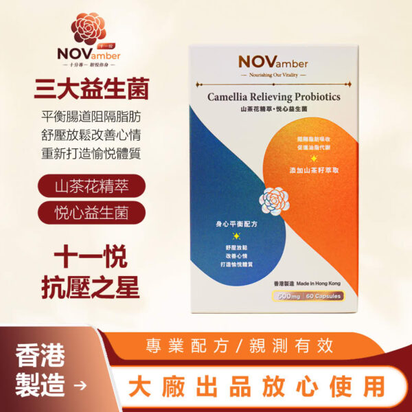 靈活計劃A 抵抗⼒和防掉⽣髮 Energy and Hair Supplements - Image 8