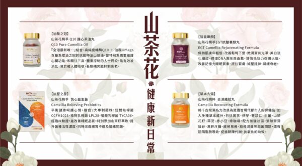 【NOVamber】Post Card - Image 2